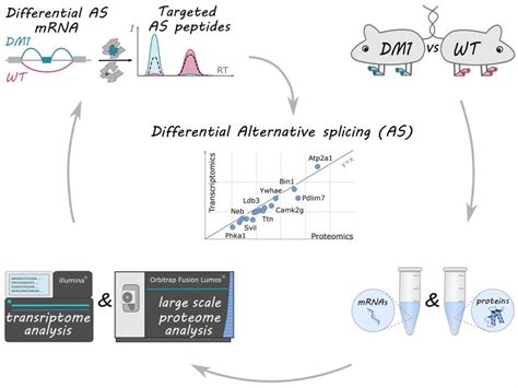 Integrative proteogenomics for differential expression and 